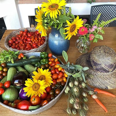 Agriturismo Podere Prasiano Marano sul Panaro Bagian luar foto