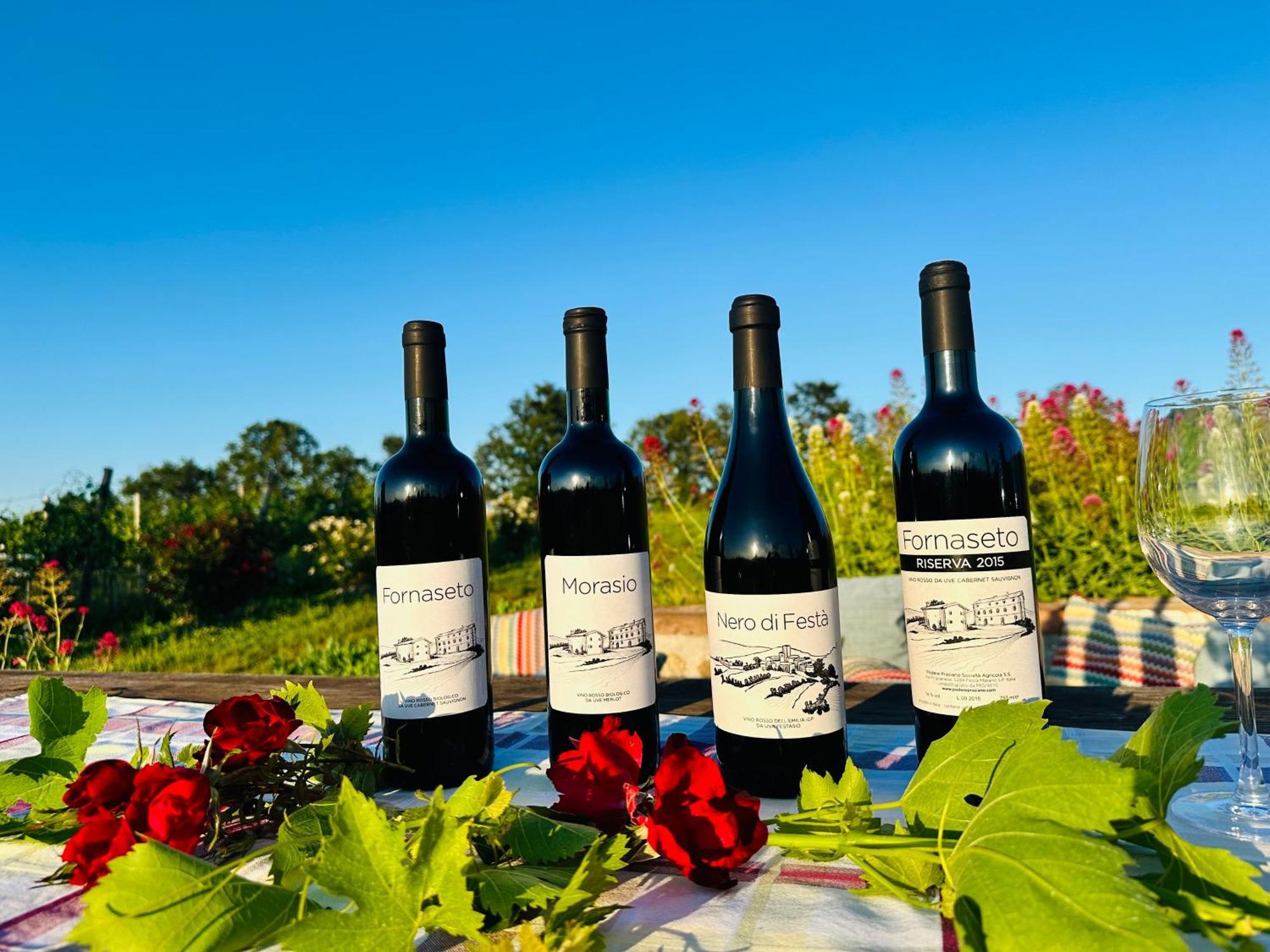 Agriturismo Podere Prasiano Marano sul Panaro Bagian luar foto