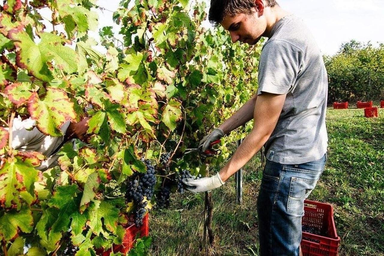 Agriturismo Podere Prasiano Marano sul Panaro Bagian luar foto