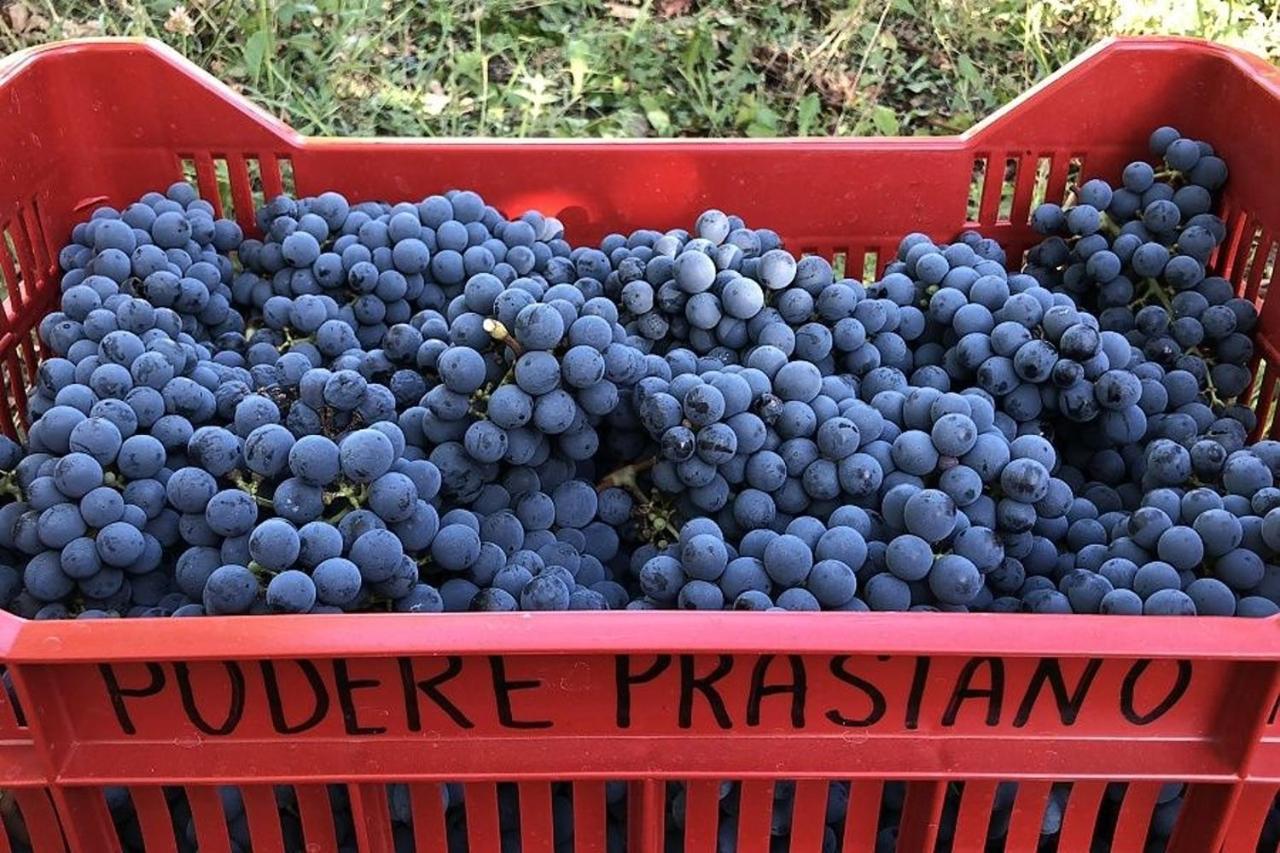 Agriturismo Podere Prasiano Marano sul Panaro Bagian luar foto