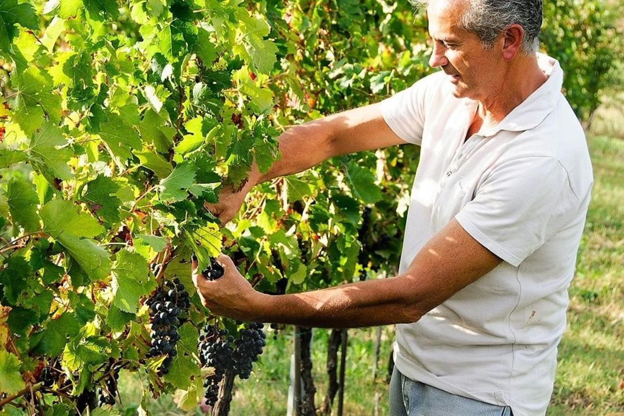 Agriturismo Podere Prasiano Marano sul Panaro Bagian luar foto